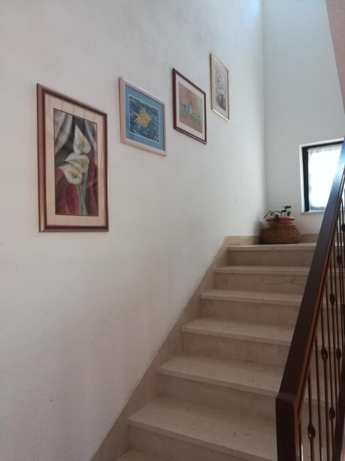 Apartments Tamara Lokva Rogoznica Dış mekan fotoğraf